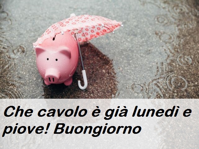 Che cavolo è già lunedì e piove! Buongiorno
