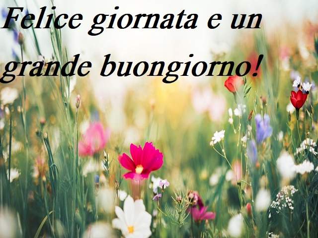 Felice giornata e un grande buongiorno!