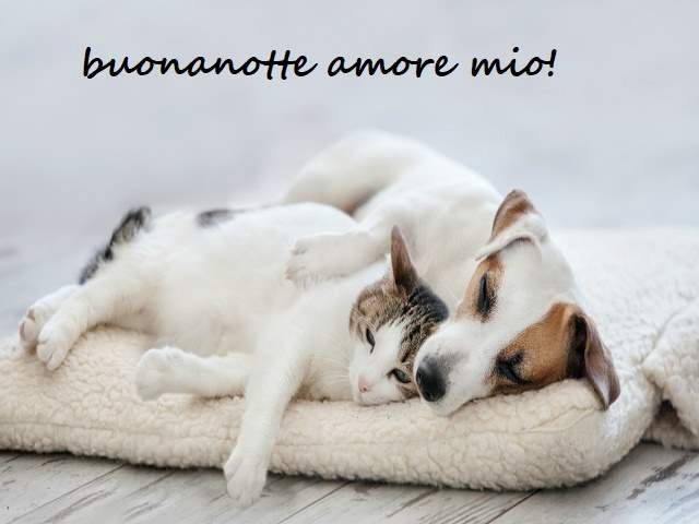 Buonanotte amore mio!