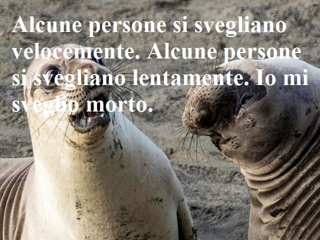 Alcune persone si svegliano velocemente. Alcune persone si svegliano lentamente. Io mi sveglio morto.