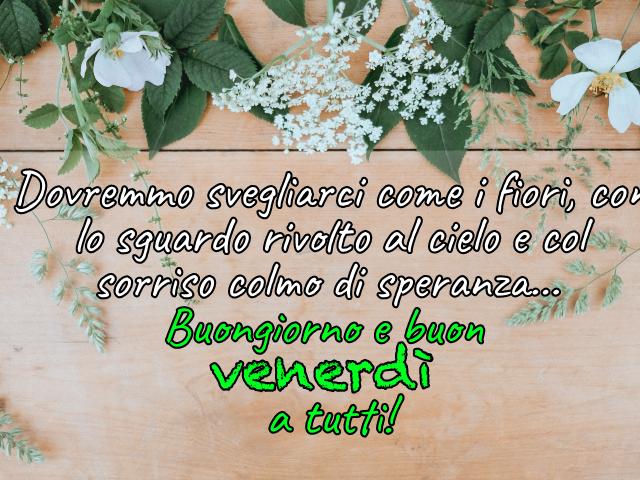 Dovremmo svegliarci come i fiori, con lo sguardo rivolto al cielo e col sorriso colmo di speranza...Buongiorno e buonvenerdì a tutti!