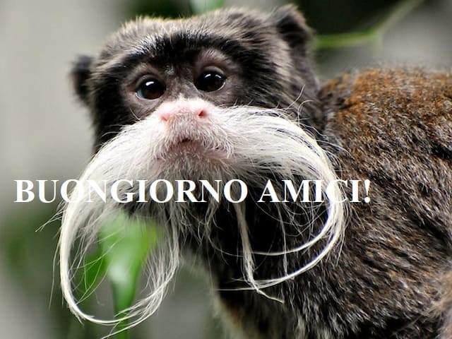 Buongiorno amici!