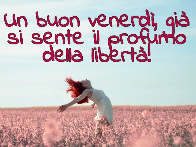 Un buon venerdì, già si sente il profumo della libertà!