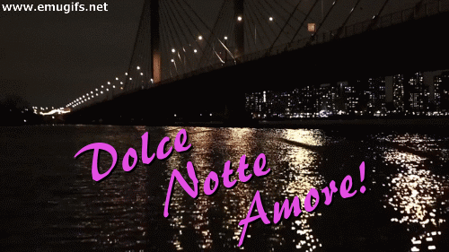 Dolce notte amore