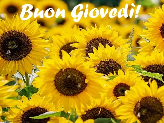 Buon Giovedì!