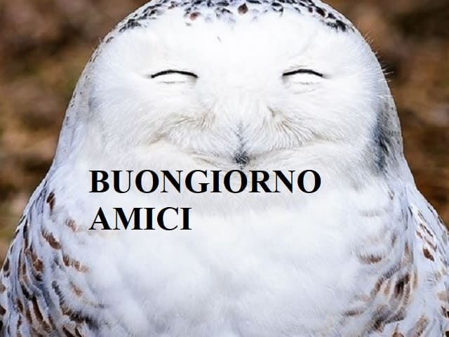 Buongiorno amici.