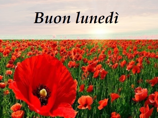 Buon lunedì