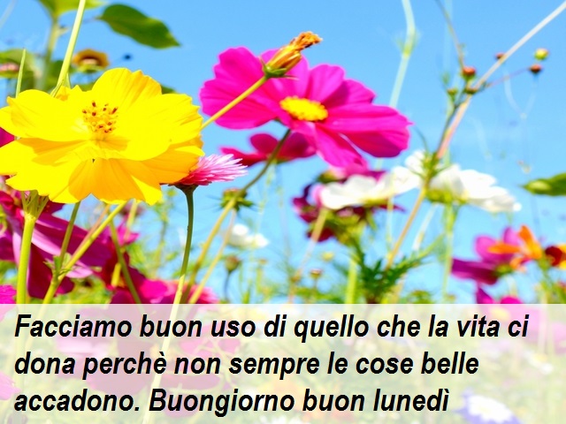 Facciamo buon uso di quello che la vita ci dona perchè non sempre le cose belle accadono. Buongiorno buon lunedì