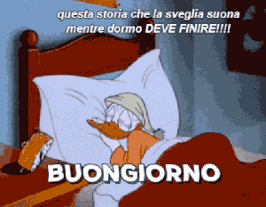 Questa storia che la sveglia deve suonare mentre dormo deve finire!!! Buongiorno!