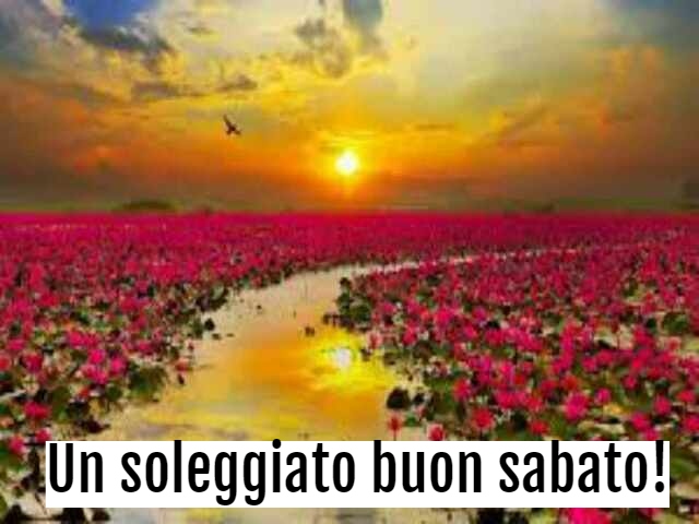 Un soleggiato buon Sabato!