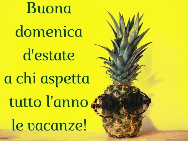 Buona domenica d'estate a chi aspetta tutto l'anno le vacanze!