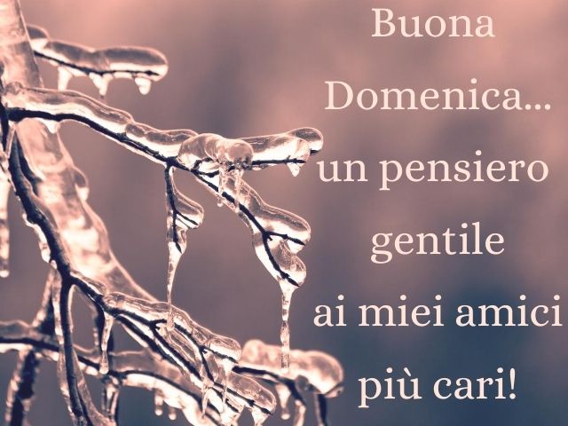 Buona domenica... un pensiero gentile ai miei amici più cari!