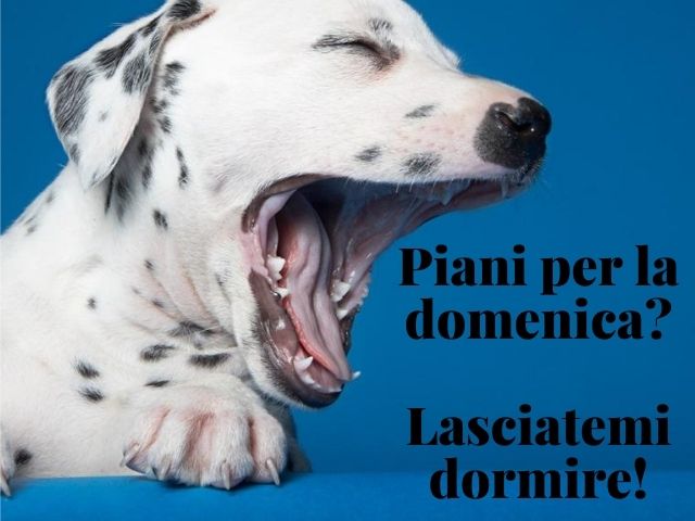 Piani per la domenica? Lasciatemi dormire!