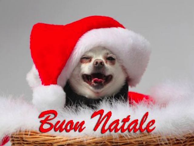 Buon Natale.