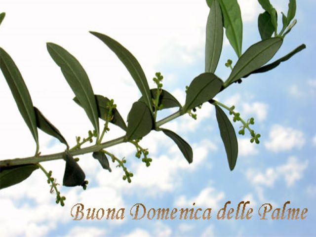 Buona Domenica delle Palme.