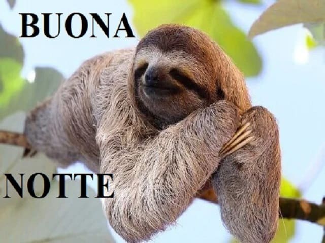 Buona notte.