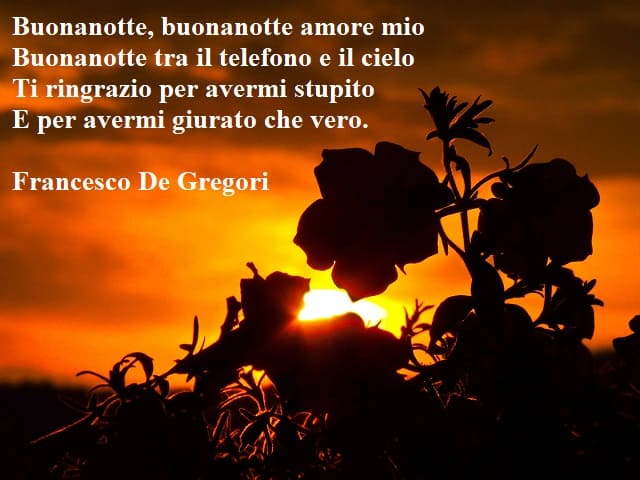 Buonanotte, buonanotte amore mio. Buonanotte tra il telefono e il cielo. Ti ringrazio per avermi stupito. E per avermi giurato che vero.(Francesco De Gregori)