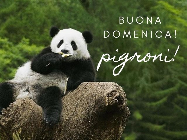 Buona domenica pigroni!