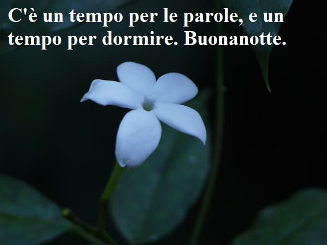 C'è un tempo per le parole, e un tempo per dormire. Buonanotte.