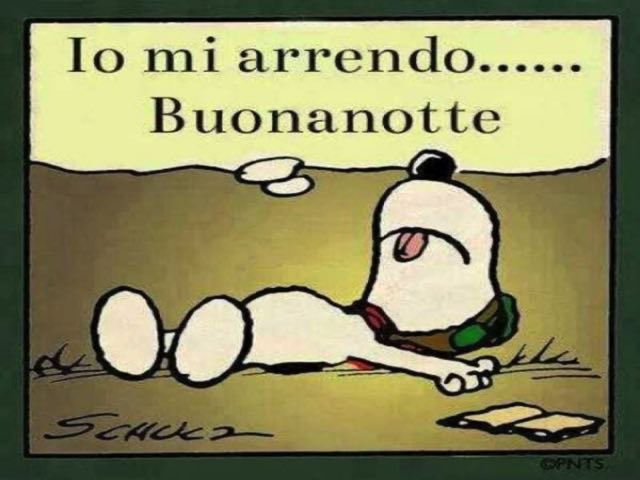 Io mi arrendo... Buonanotte.