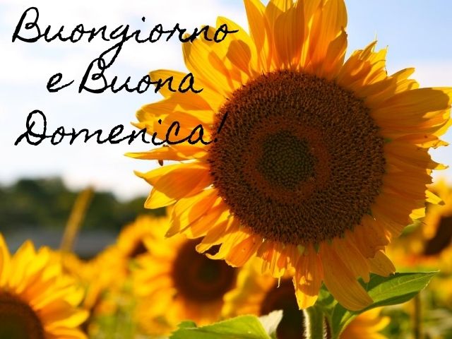 Buongiorno e buona domenica!