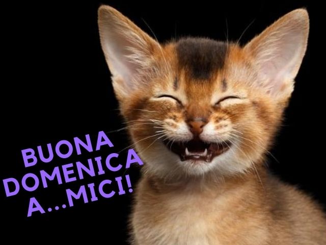 Buona domenica a...mici!