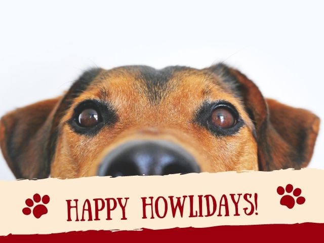Happy howlidays!(Buone bau-feste!)