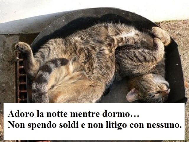Adoro la notte mentre dormo… Non spendo soldi e non litigo con nessuno.