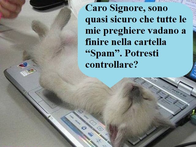 Caro Signore, sono quasi sicuro che tutte le mie preghiere vadano a finire nella cartella "Spam". Potresti controllare?