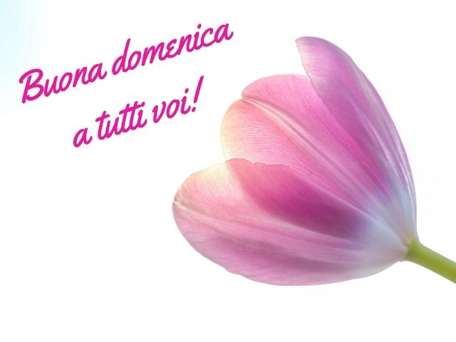 Buona domenica a tutti voi!