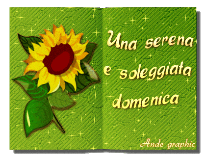 Una serena e soleggiata domenica.