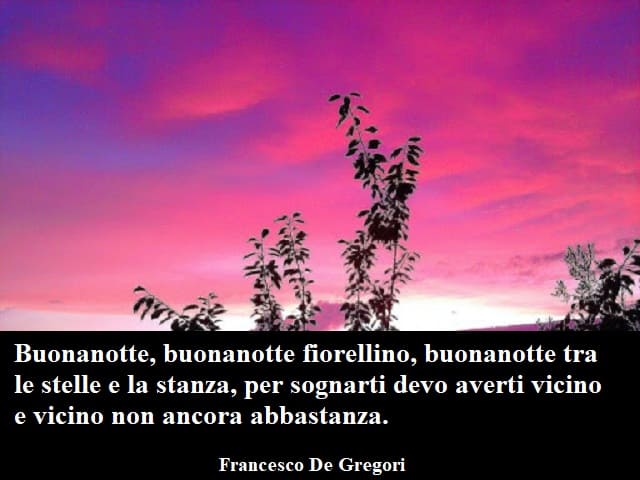 Buonanotte, buonanotte fiorellino, buonanotte tra le stelle e la stanza, per sognarti devo averti vicino e vicino non ancora abbastanza.(Francesco De Gregori)