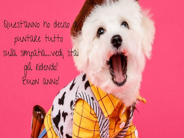 Quest'anno ho deciso di puntare tutto sulla simpatia...vedi, stai già ridendo!Buon anno!