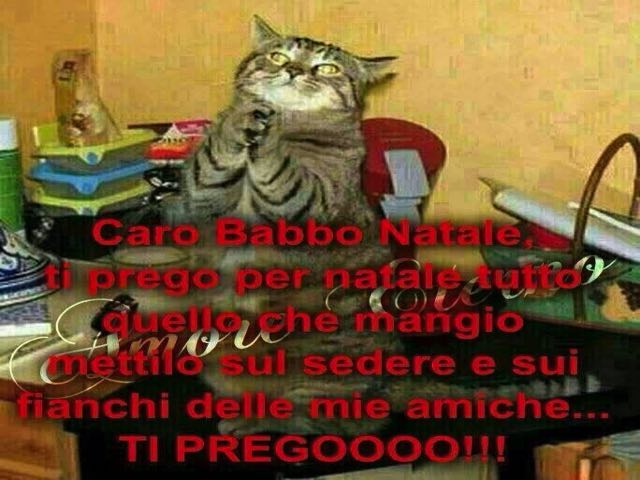 Caro Babbo Natale, ti prego per Natale tutto quello che mangio mettilo sul sedere e sui fianchi delle mie amiche... Ti pregooo!
