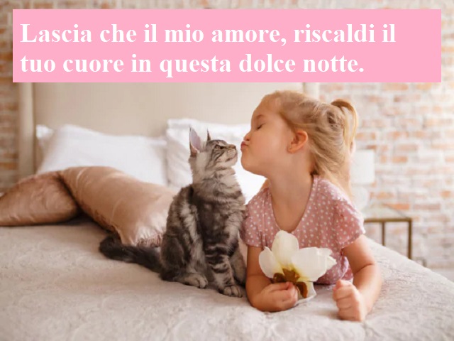 Lascia che il mio amore, riscaldi il tuo cuore in questa dolce notte.