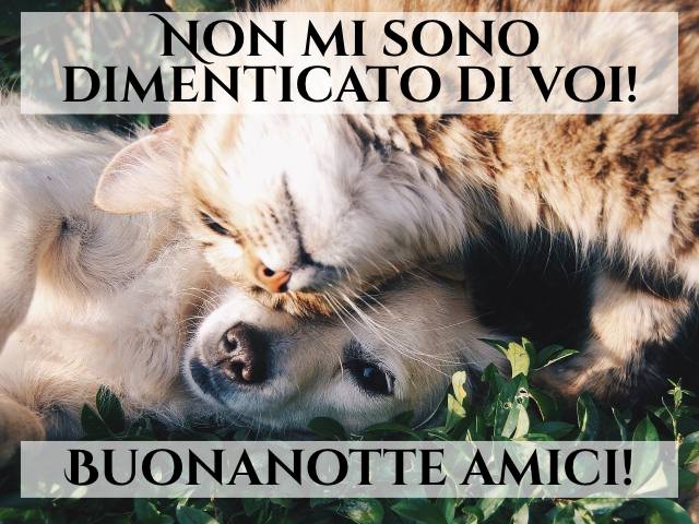 Non mi sono dimenticato di voi! Buonanotte amici!