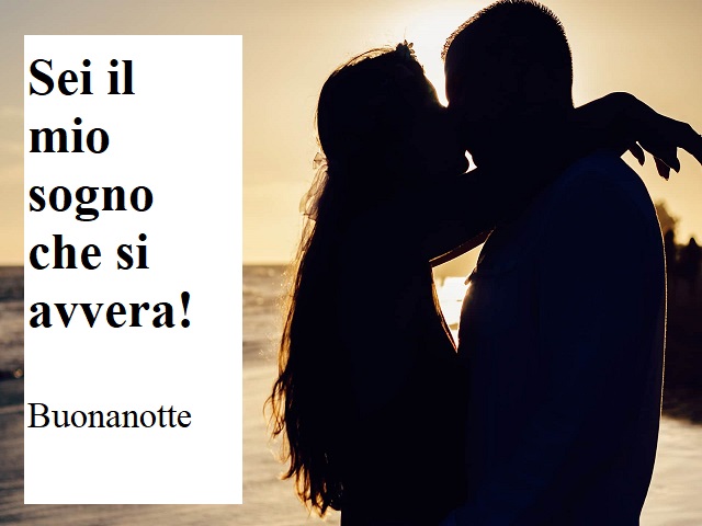 Sei il mio sogno che si avvera! Buonanotte.