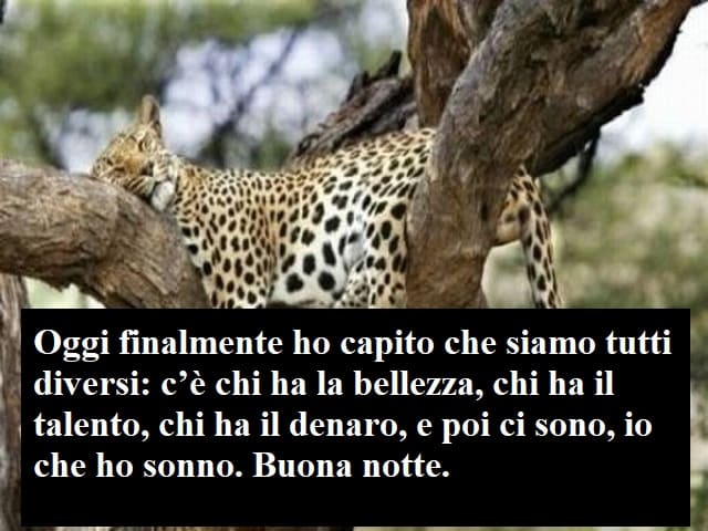 Oggi finalmente ho capito che siamo tutti diversi: c'è chi ha la bellezza, chi ha il talento, chi ha il denaro, e poi ci sono, io che ho sonno. Buona notte.