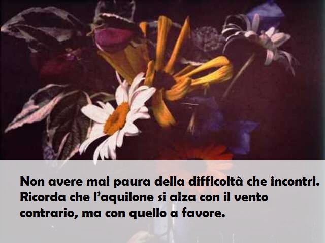 Non avere mai paura della difficoltà che incontri. Ricorda che l’aquilone si alza con il vento contrario, ma con quello a favore.