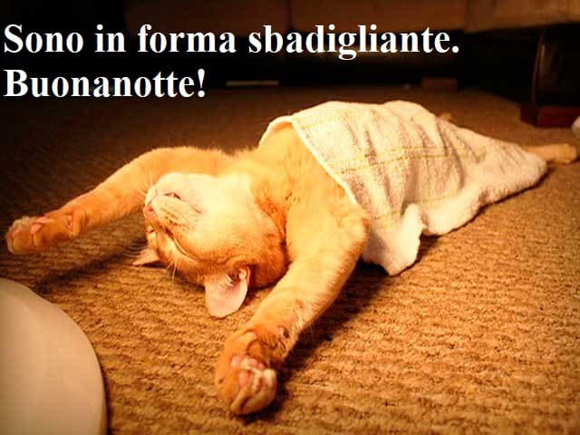 Sono in forma sbadigliante. Buonanotte!