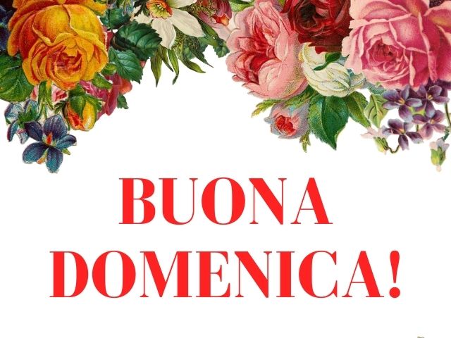 Buona domenica!