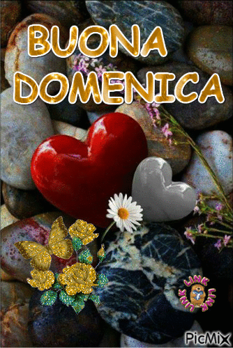 Buona domenica.