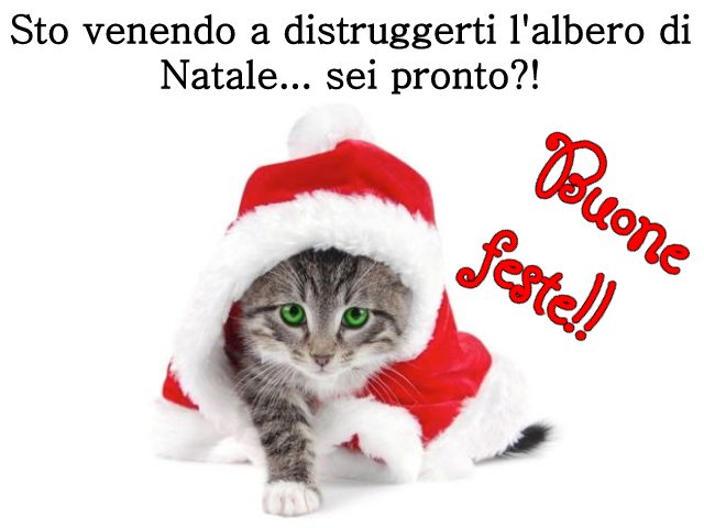 Sto venendo a distruggerti l'albero di Natale... sei pronto?! Buone feste!!