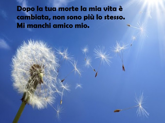 Dopo la tua morte la mia vita è cambiata, non sono più lo stesso.Mi manchi amico mio.
