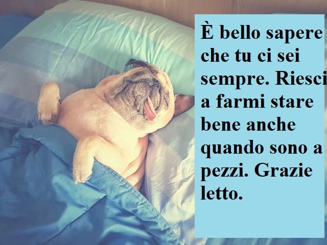 È bello sapere che tu ci sei sempre. Riesci a farmi stare bene anche quando sono a pezzi. Grazie letto.