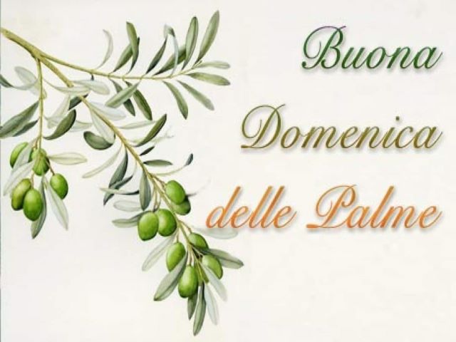 Buona Domenica delle Palme.