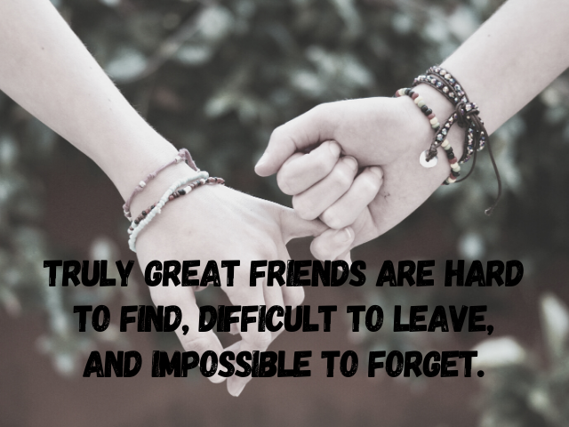 Truly great friends are hard to find, difficult to leave, and impossible to forget. (I veri grandi amici sono difficili da trovare, duri da lasciare e impossibili da dimenticare)