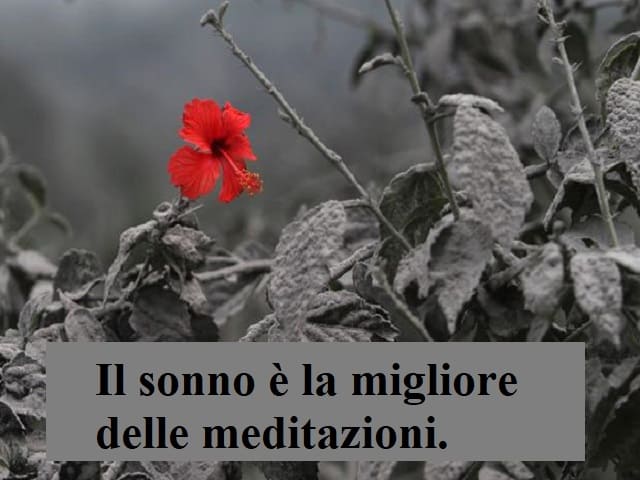 Il sonno è la migliore delle meditazioni.