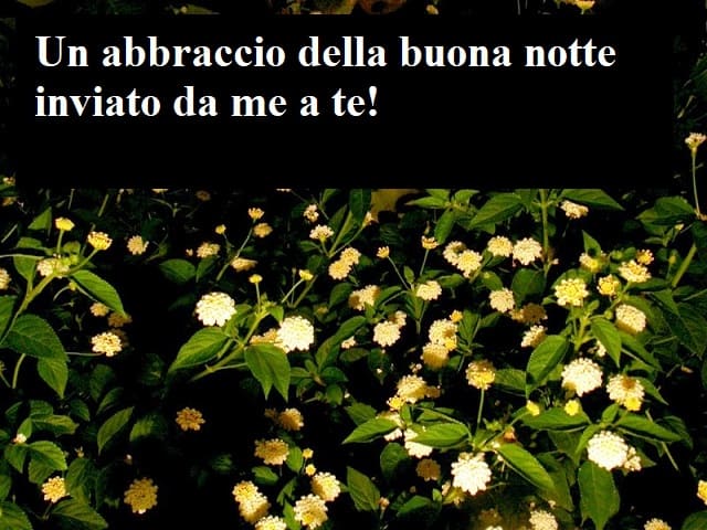 Un abbraccio della buona notte inviato da me a te!