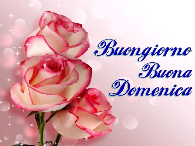 Buongiorno. Buona domenica.